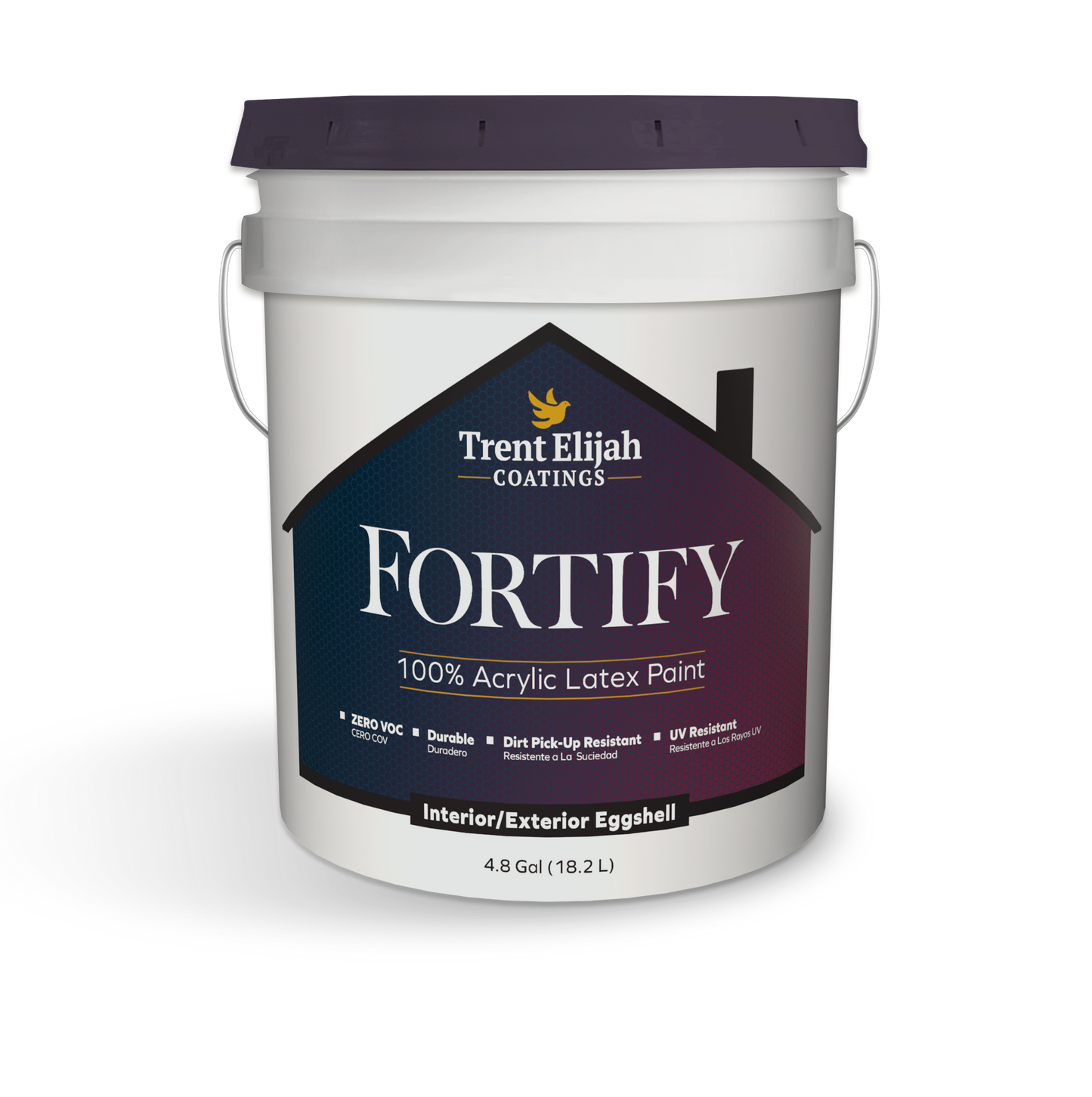 Fortify Interior/Exterior Paint