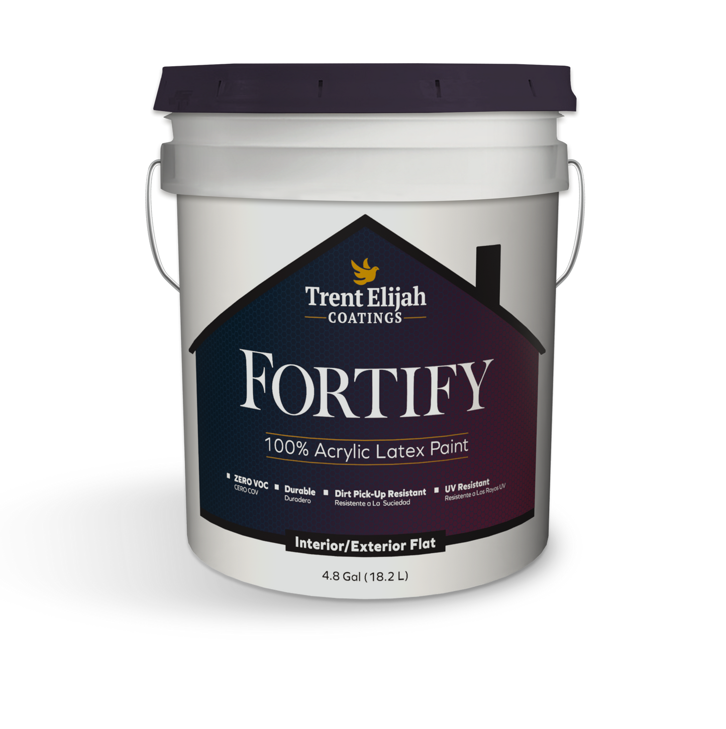 Fortify Interior/Exterior Paint